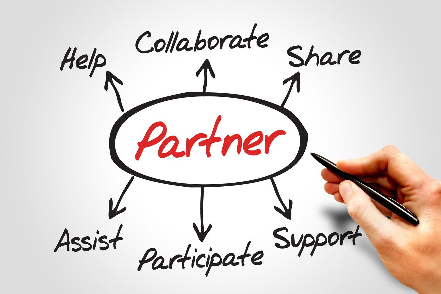 Partner